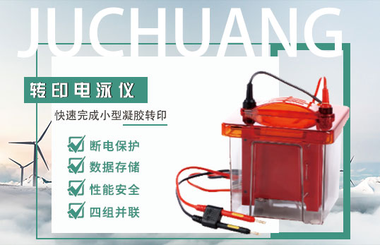 BG-verBLOT转印电泳仪（非医用）